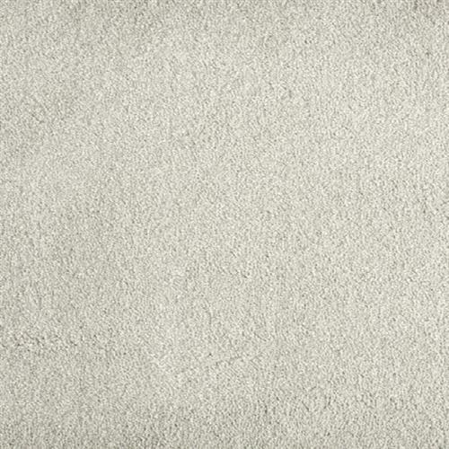 Jolly in Platinum Carpet