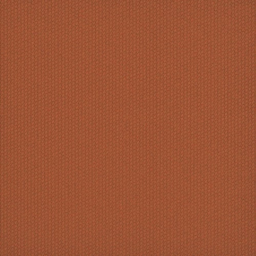 Dart 24x24