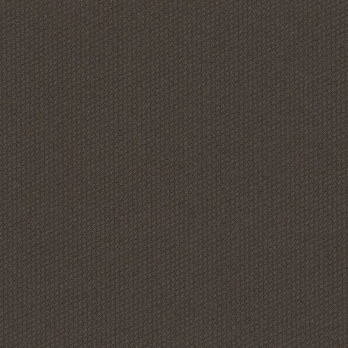Dart 24x24