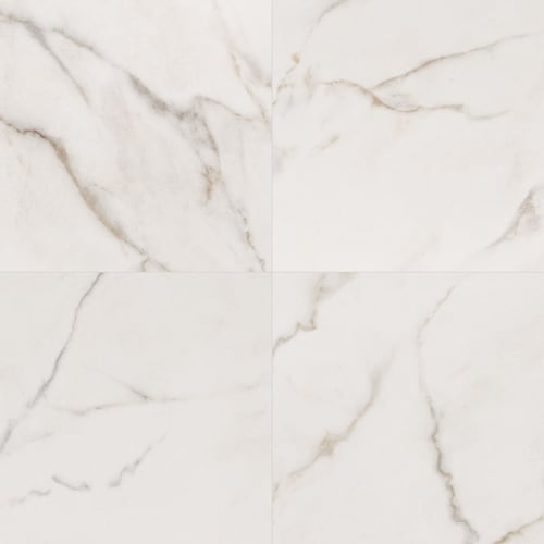 Kaya in Calacatta Lucca - 24x24 Polished Tile