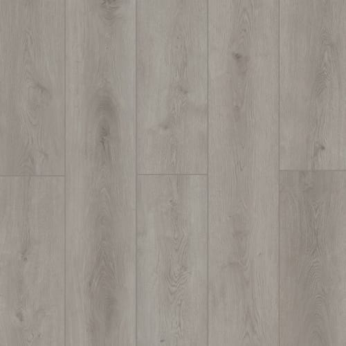 Indoor Delight In Slate Ballad