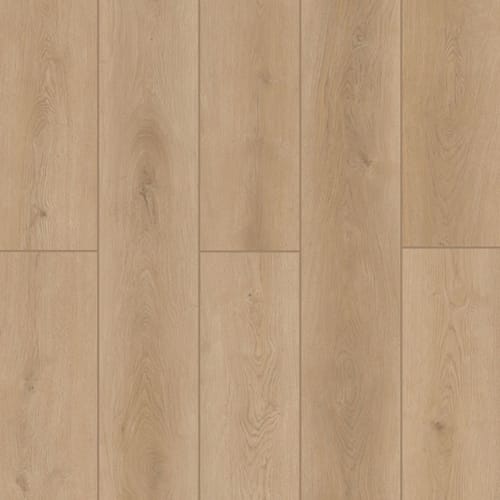 Indoor Delight In Forest Timber