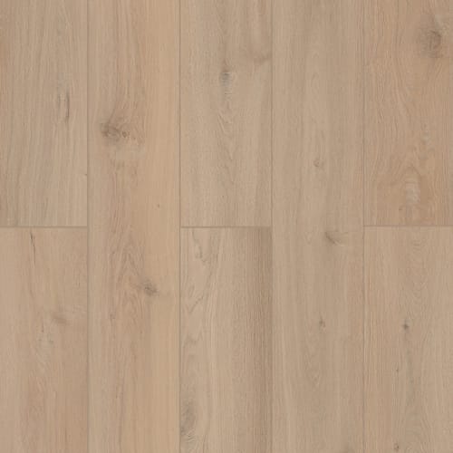 Lone Star Spirit Xl In Sea Shell