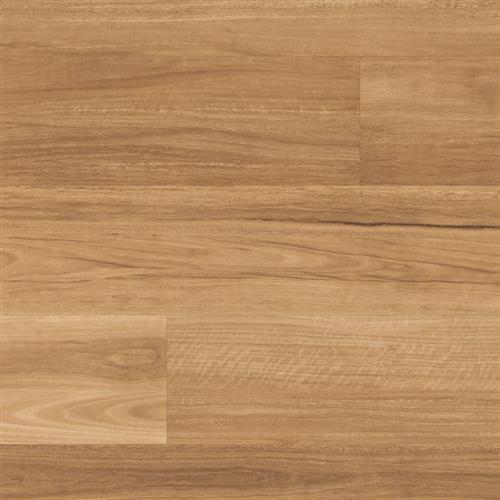 Looselay Longboard in Lemon Spotted Gum