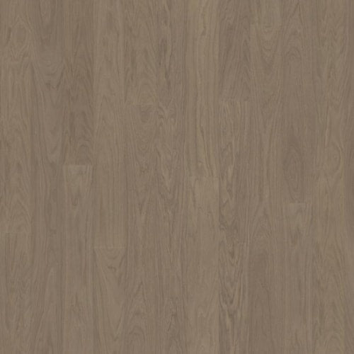 Life Collection In Earl Grey Wide