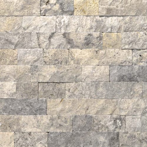 Silver Travertine In Gray-Light Sf