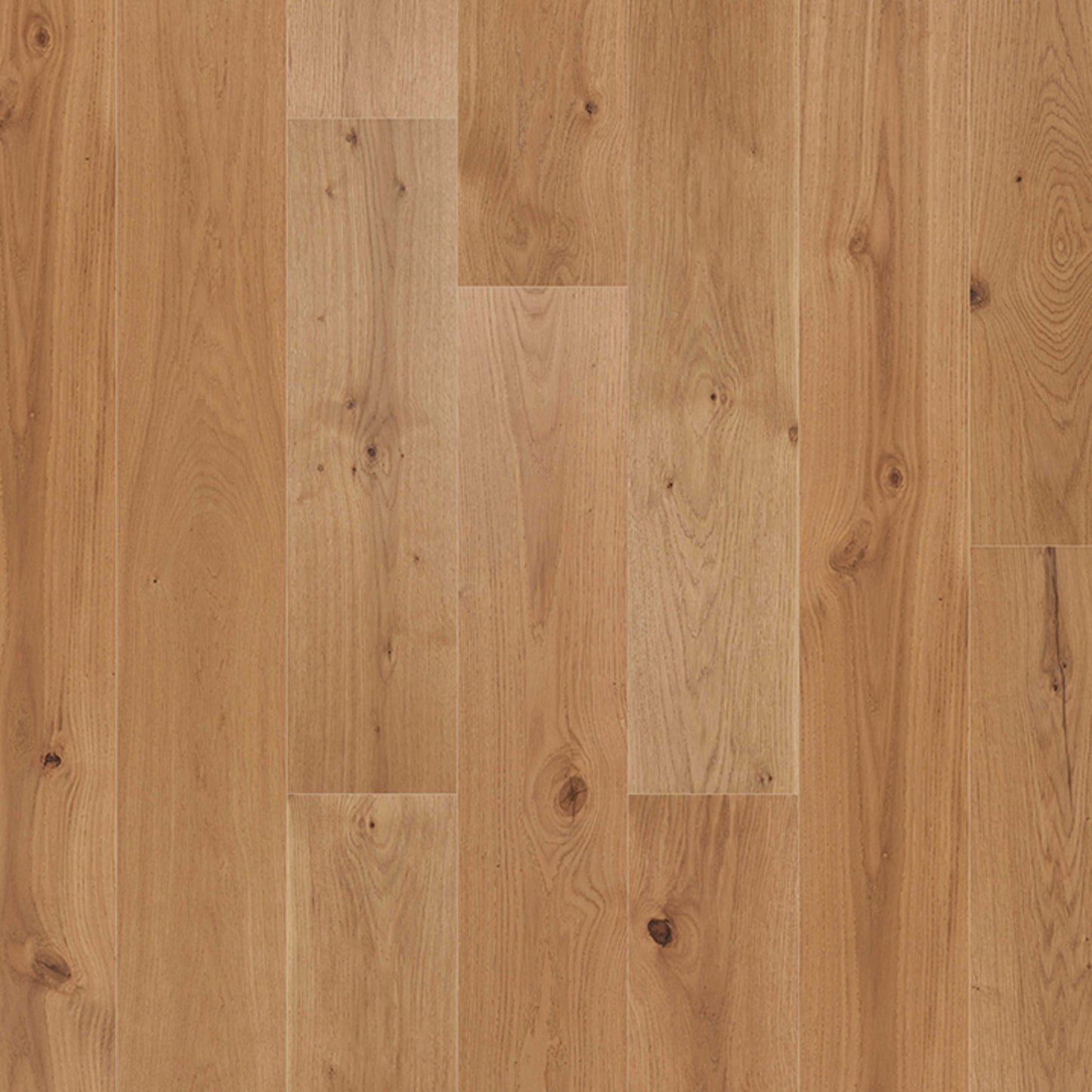 Grand Appeal in Legacy Oak Hardwood