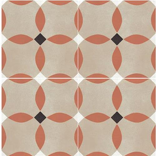 D_Segni Color In Monarch - 8X8