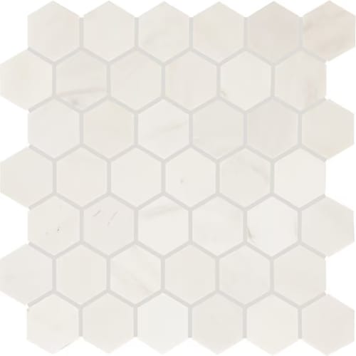 Eclessia Marble In Pacifica Hexagon