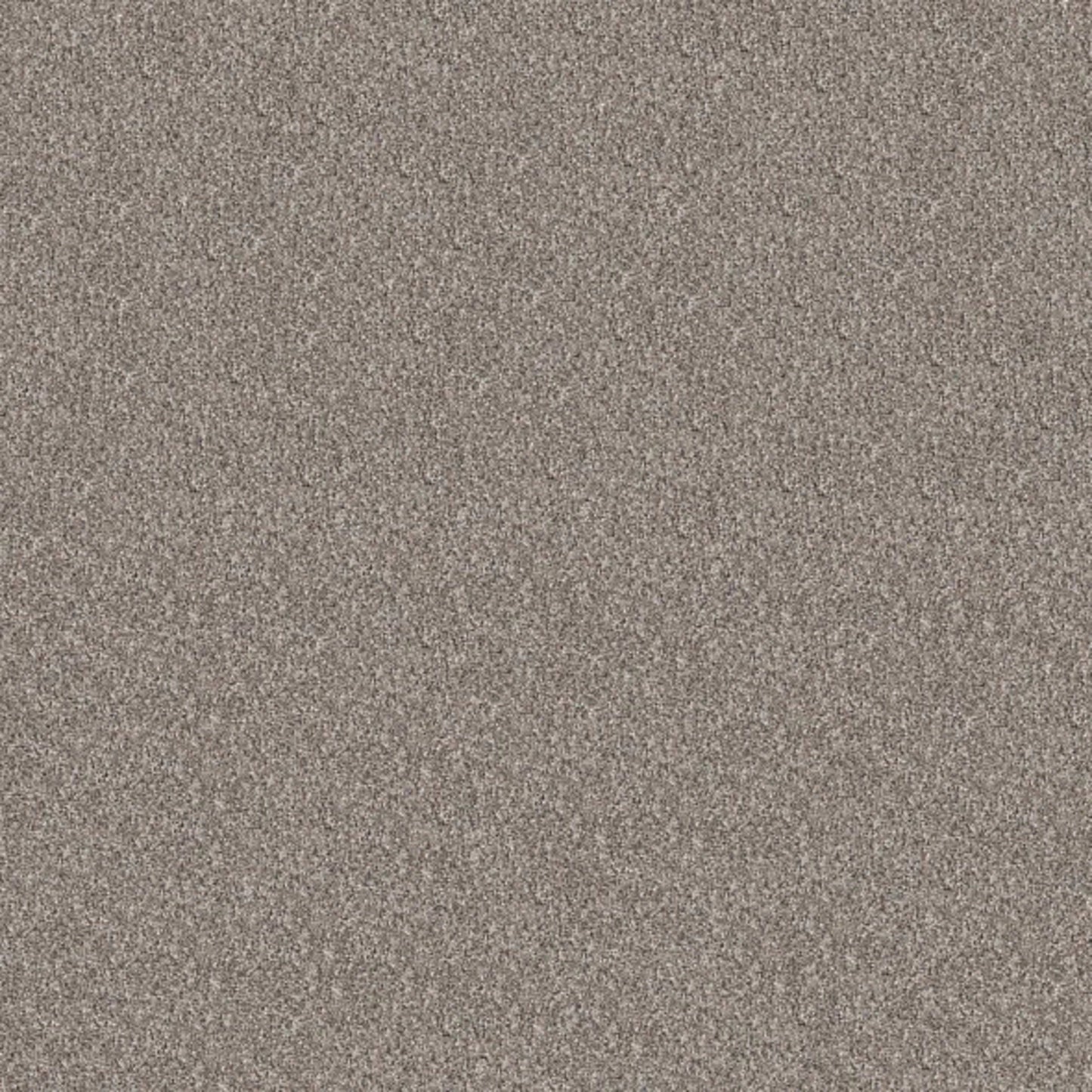 Elevated I in Perfection Carpet