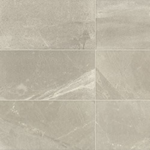 Merit In Light Gray-12X24