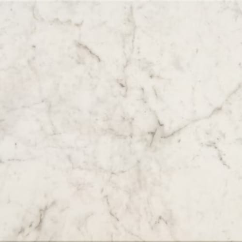 Mythique Marble In Altissimo-12X24X.375-Matte