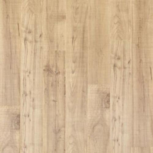 Ellenwood In Maple Sapling