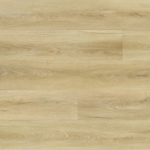 Hydro Floor Collection In Melted Waffle Cone