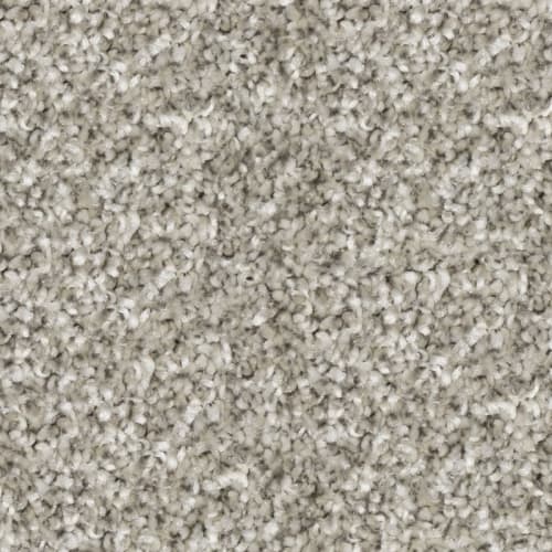 Tryesse & Tri-Color - Stadium