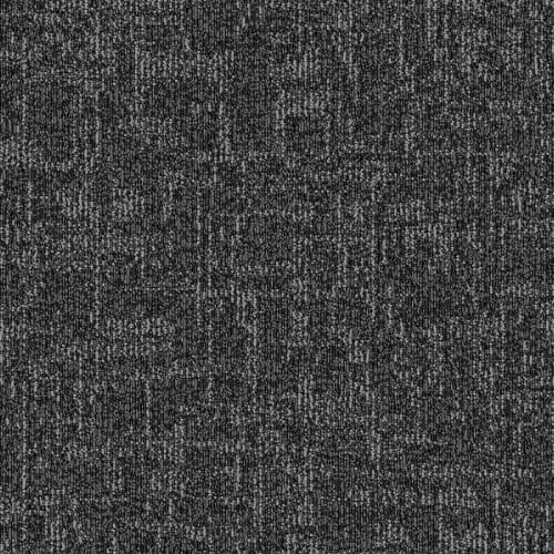 Quantum