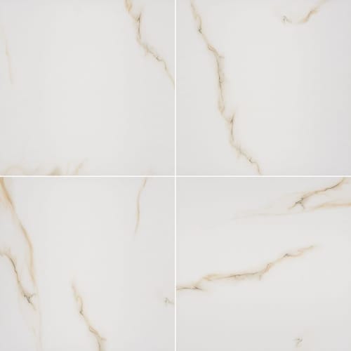 Aria In Bianco Polished 24" X 24"