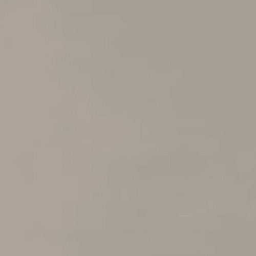 Neoconcrete in Light Gray-24x24-Light Polished Tile