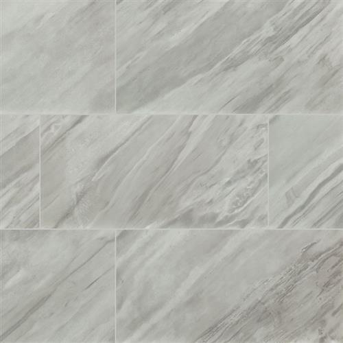 Eden in Bardiglio - 12x24 Polished Tile