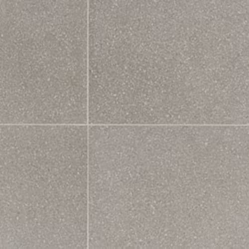 Neospeck in Light Gray-12x24-Matte Tile