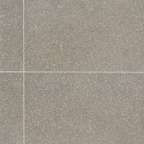 Neospeck in Medium Gray-24x24-Matte Tile