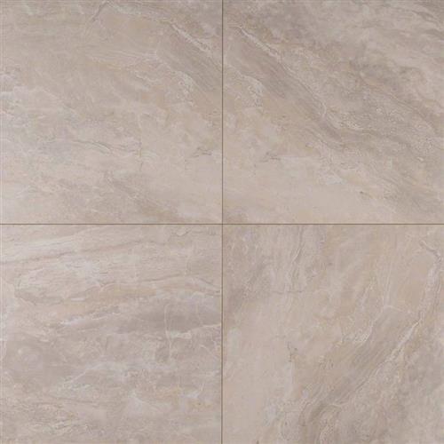 Onyx In Grigio - 24X24 Polished