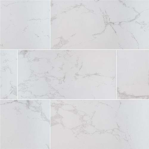Praia In Carrara - 12X24 Matte