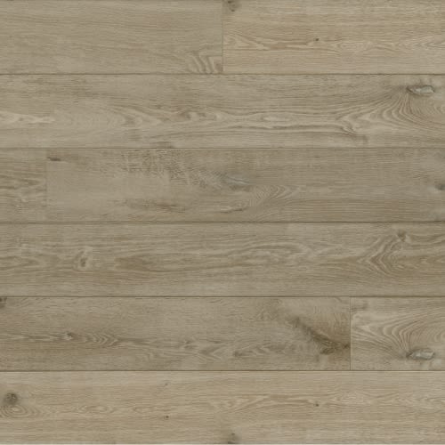 Verano Collection In Nebbia