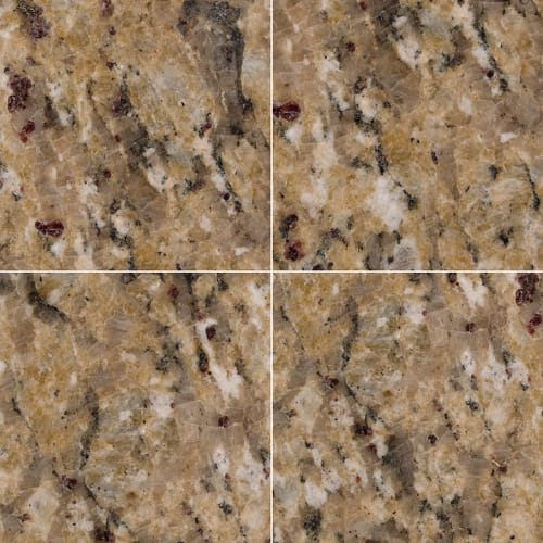 New Venetian Gold In New Venetian Gold - 12X12