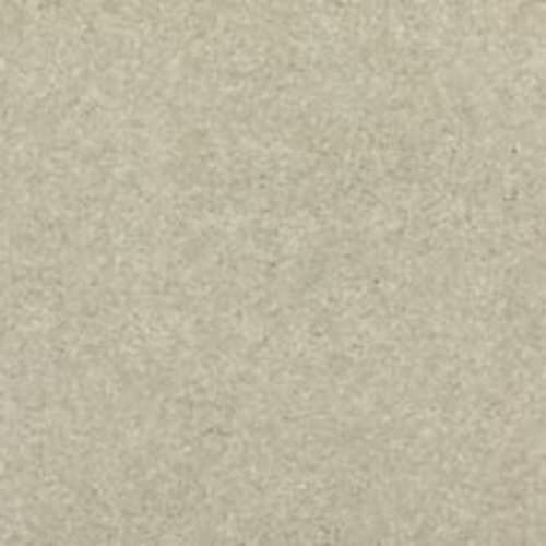 PALMETTO I in Bear Paw Carpet