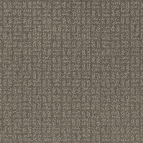 Flawless Vision in Sugared Bronze Carpet