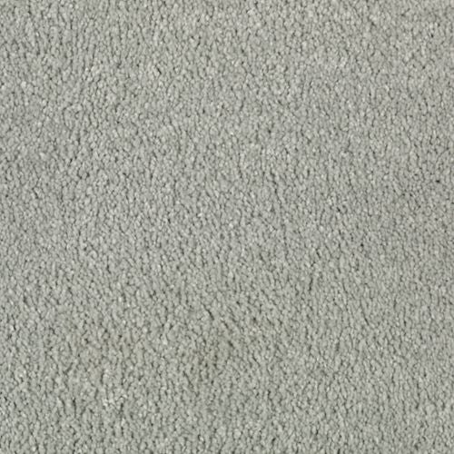 Preseason in 5832 Carpet