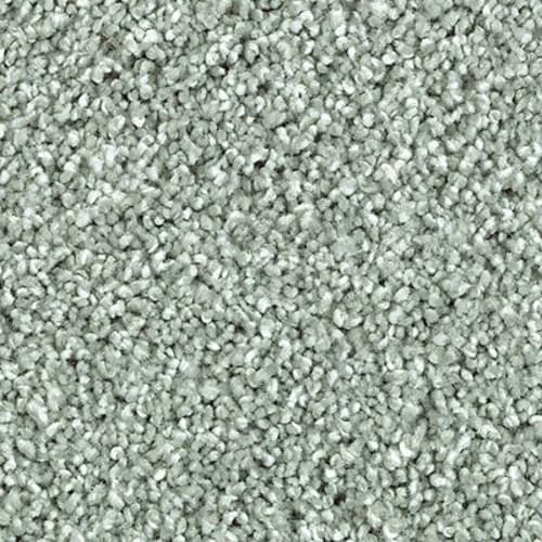 Polished Shades I in Weathered Wood Carpet