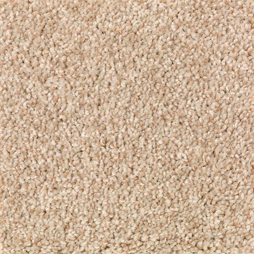 Tonal Chic II in Beechnut Carpet