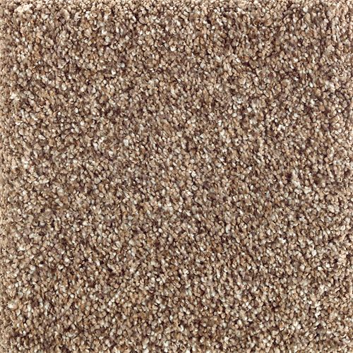 PURE CULTURE in Evolve Carpet