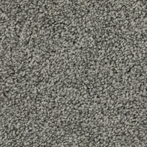 Effortless Choice in Bluestone Carpet