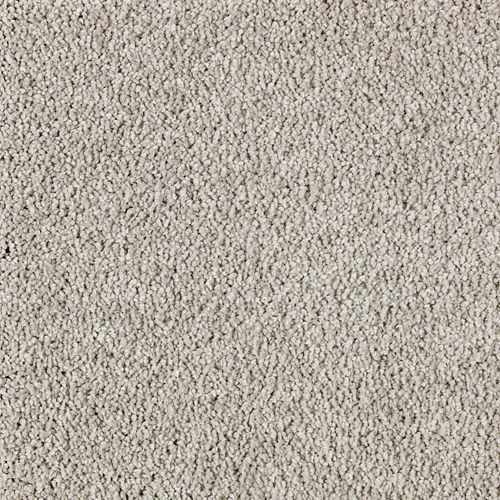 HIGH ACHIEVEMENT in Hotshot Carpet