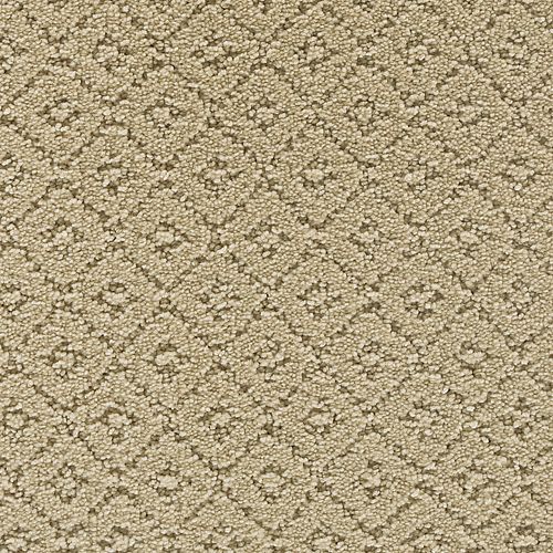 Remarkable Elegance in Lamb's Wool          Carpet