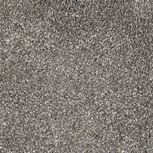Exquisite Shades in Opulent Grey Carpet