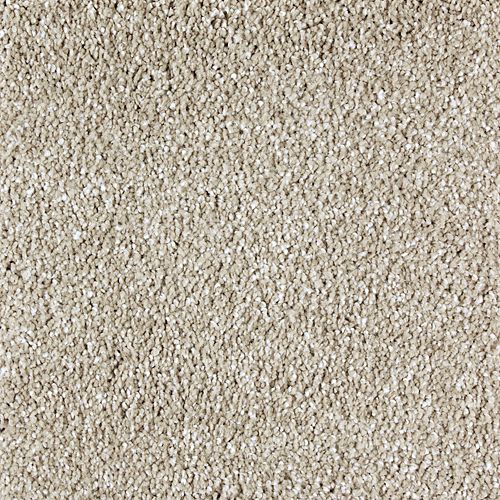 HOLD FAST in Stacks Carpet