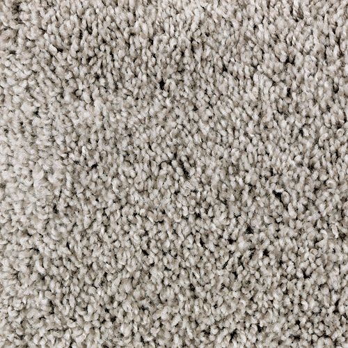 Regal Appeal in Renew Carpet