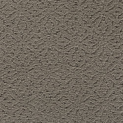 HIGH STREET in Link Carpet