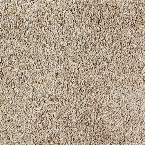 Hinged in Link Carpet