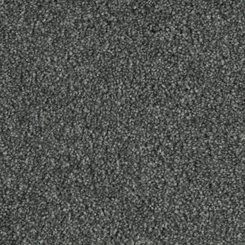 Shaw Industries | Faux Paw