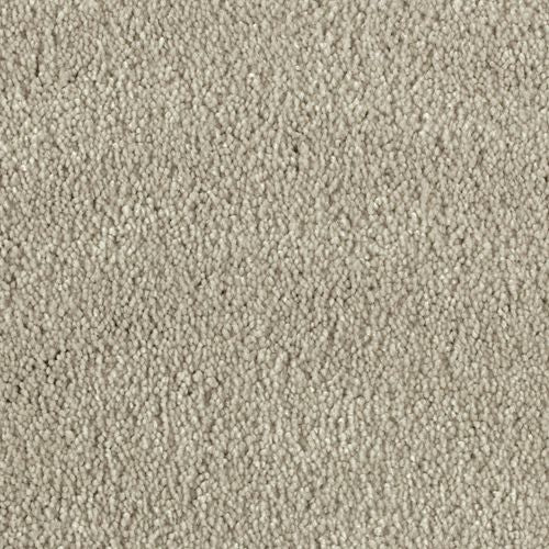 Feather Beauty in Crown Carpet