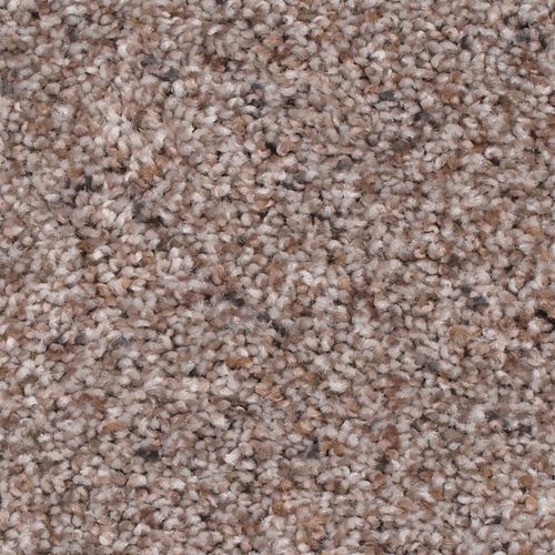 Earthly Details I in Rocky Ridge Carpet