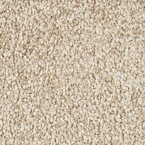 Striking Option in Canyon Shade Carpet