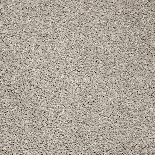 Refined Interest in Honey Butter Carpet