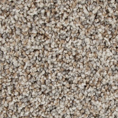 Color Fusion I in Colonial Ash Carpet