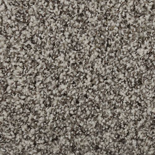 Exquisite Character in Winter Ash Carpet